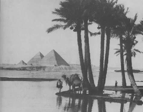 Great Pyramids of Eqypt, next to the Nile River.